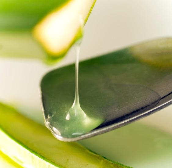 Cómo curar las llagas bucales con aloe vera - Paso 2