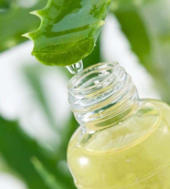 Cómo curar las llagas bucales con aloe vera - Paso 3