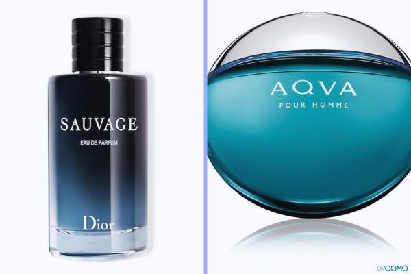 Os melhores perfumes frescos para o verão para homens - bvlgari aqva derrama homme, bvlgari