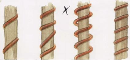 Cómo formar el tronco de un bonsái