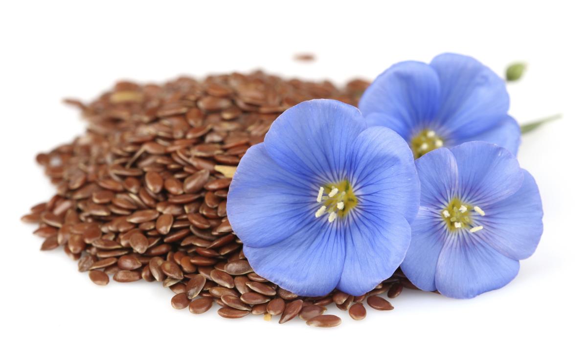 Trucos de belleza con linaza