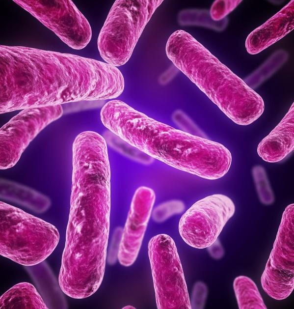 Causas de la parasitosis