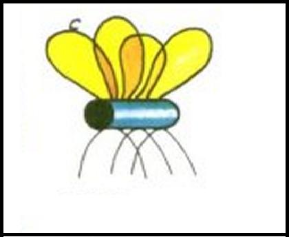 Cómo hacer una mosca en casa - Paso 3