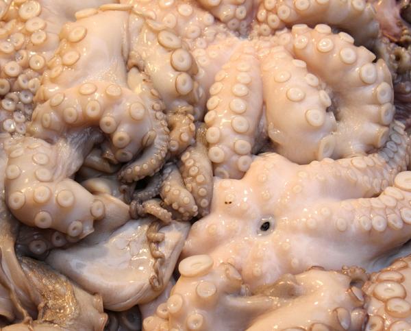 Cómo limpiar el pulpo