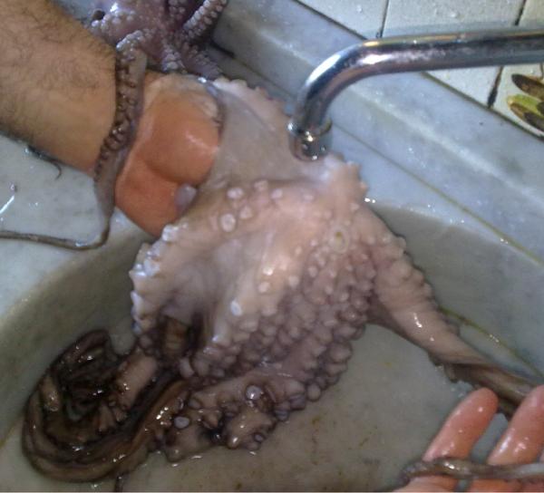 Cómo limpiar el pulpo - Paso 1