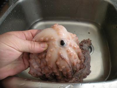 Cómo limpiar el pulpo - Paso 3
