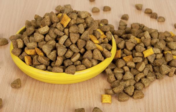 Cómo hacer que mi perro engorde - Paso 4