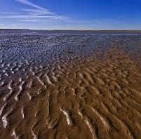 Cómo conducir en el barro