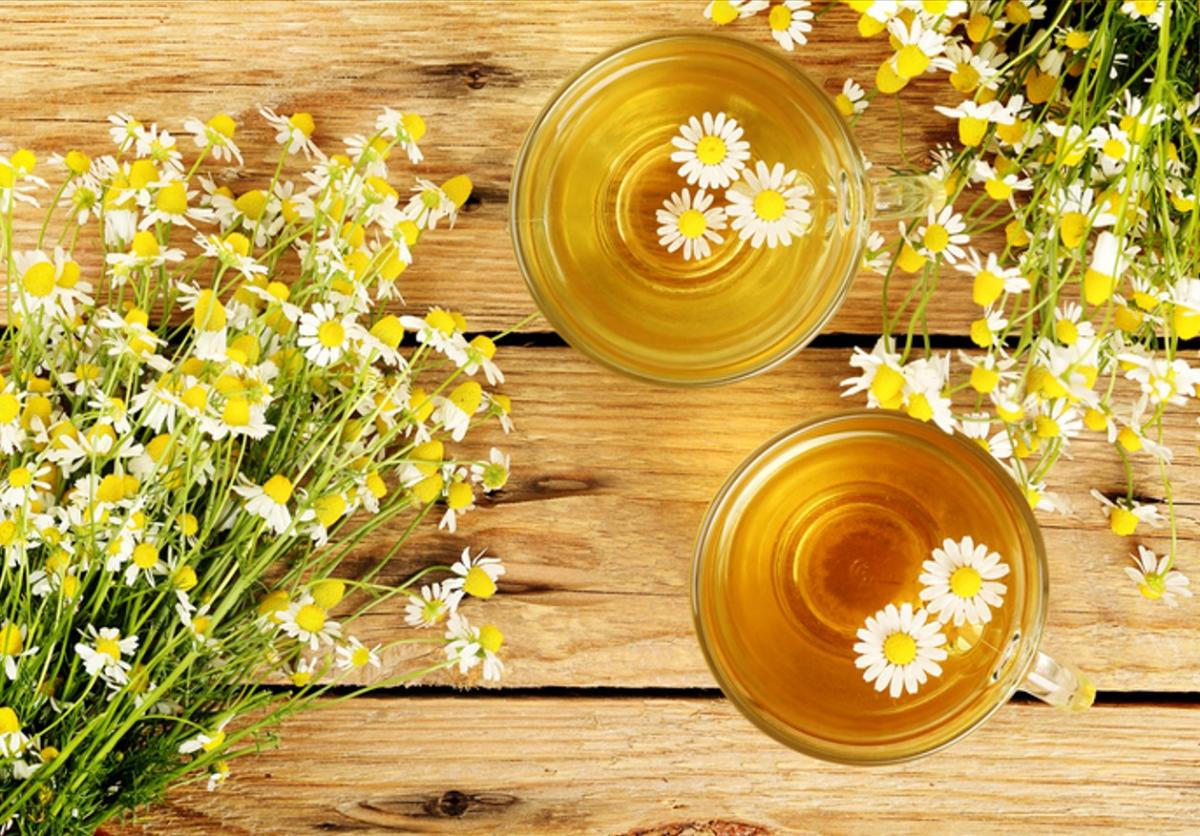 Cuáles son los antihistamínicos naturales