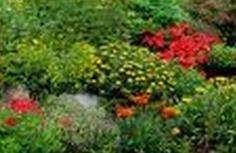 Cómo es un jardín sostenible