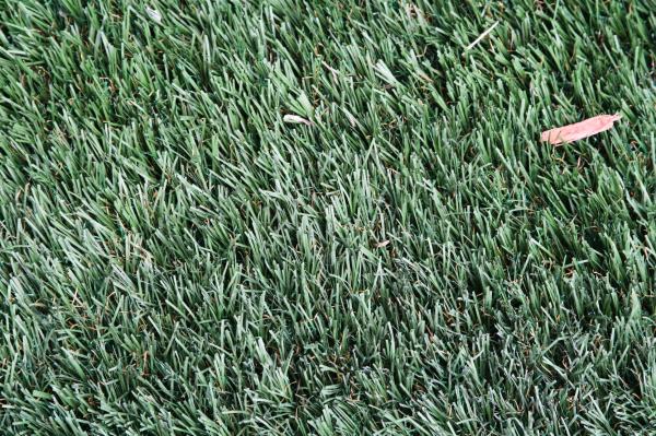 Cómo colocar césped artificial