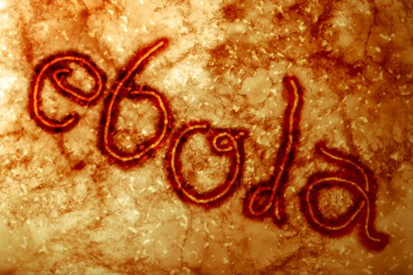 Cómo es el periodo de incubación del Ébola - Cómo saber si estás infectado