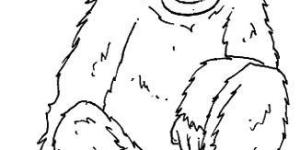 Cómo dibujar un mono