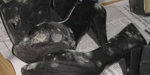 Cómo quitar manchas de moho de los zapatos