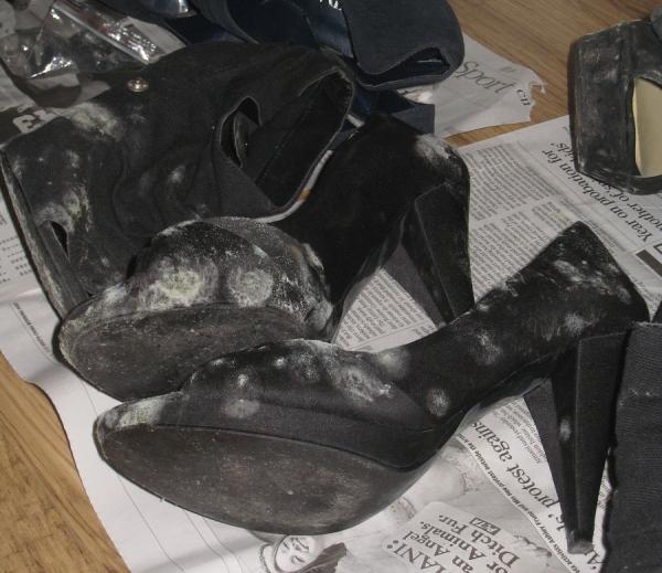 Cómo quitar manchas de moho de los zapatos