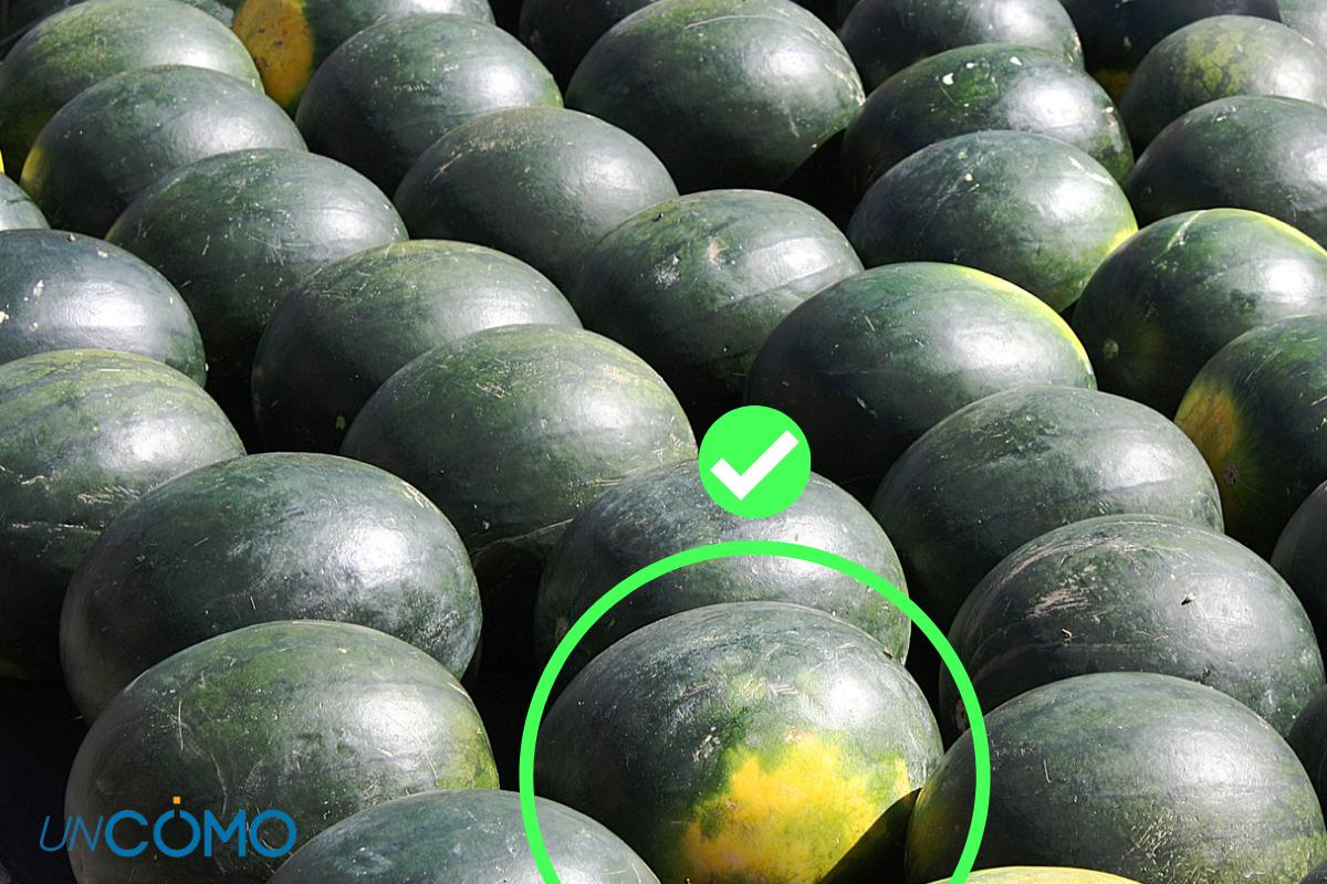 Cómo saber si una sandía está buena