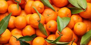 ¿Las mandarinas engordan? Descubre cuántas calorías tiene esta fruta