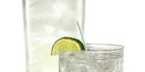 Cómo hacer un gintonic clásico de Tanqueray