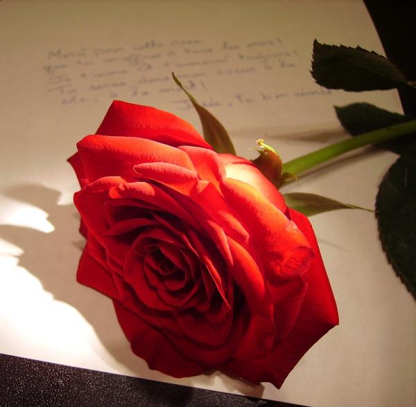 Cómo escribir una invitación para una cena romántica