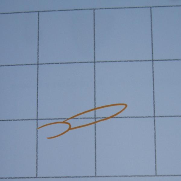 Cómo dibujar una mariposa - Paso 1