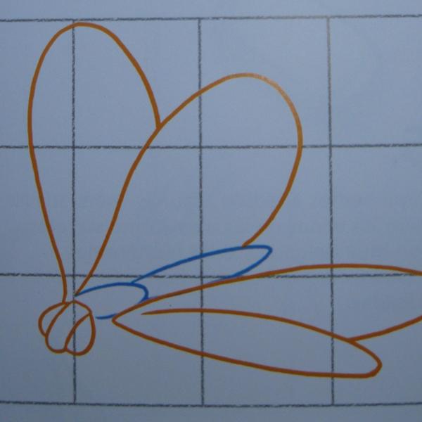 Cómo dibujar una mariposa - Paso 2