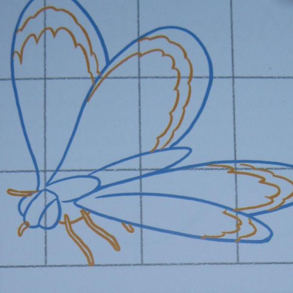 Cómo dibujar una mariposa - Paso 3