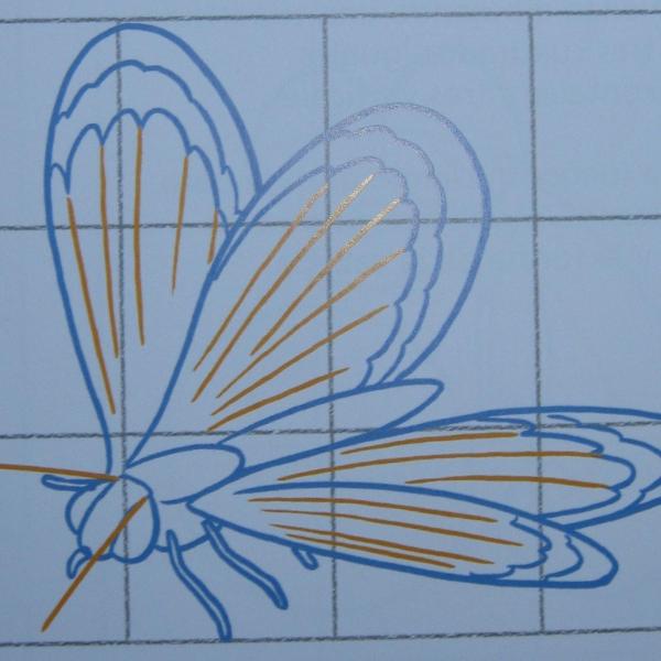 Cómo dibujar una mariposa - Paso 4