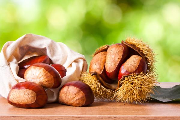 Castañas: propiedades y beneficios - ¿Cuáles son los beneficios de las castañas?