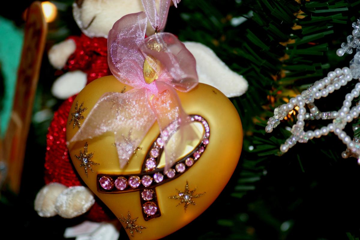 De qué se alimentan las células del cáncer