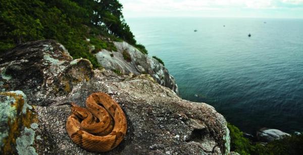 Cuáles son las islas más peligrosas del mundo