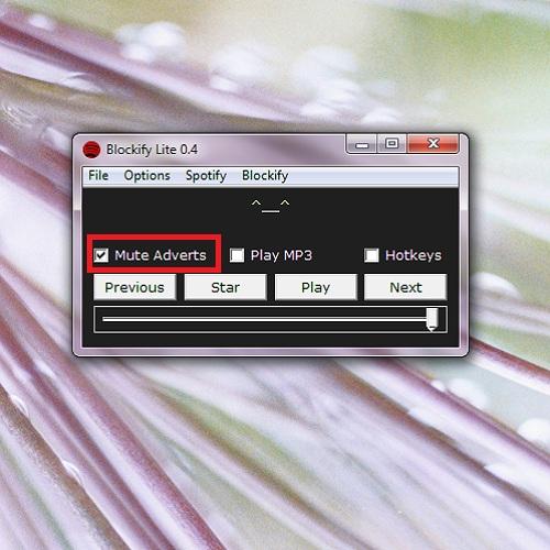Cómo bloquear los anuncios de Spotify en Windows - Paso 4