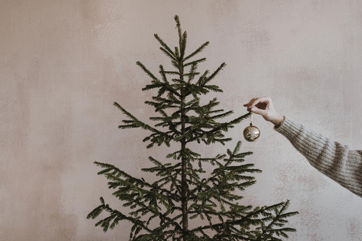 Cuándo se quita el árbol de Navidad