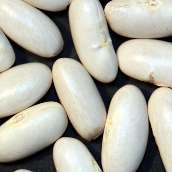 Cómo cocer las judías secas