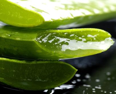 Cómo hacer mascarillas caseras para alisar el pelo - Mascarilla de avena y sábila para alisar el pelo
