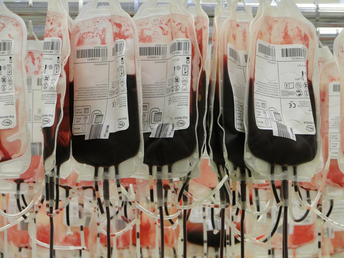 Cada cuánto se puede donar sangre