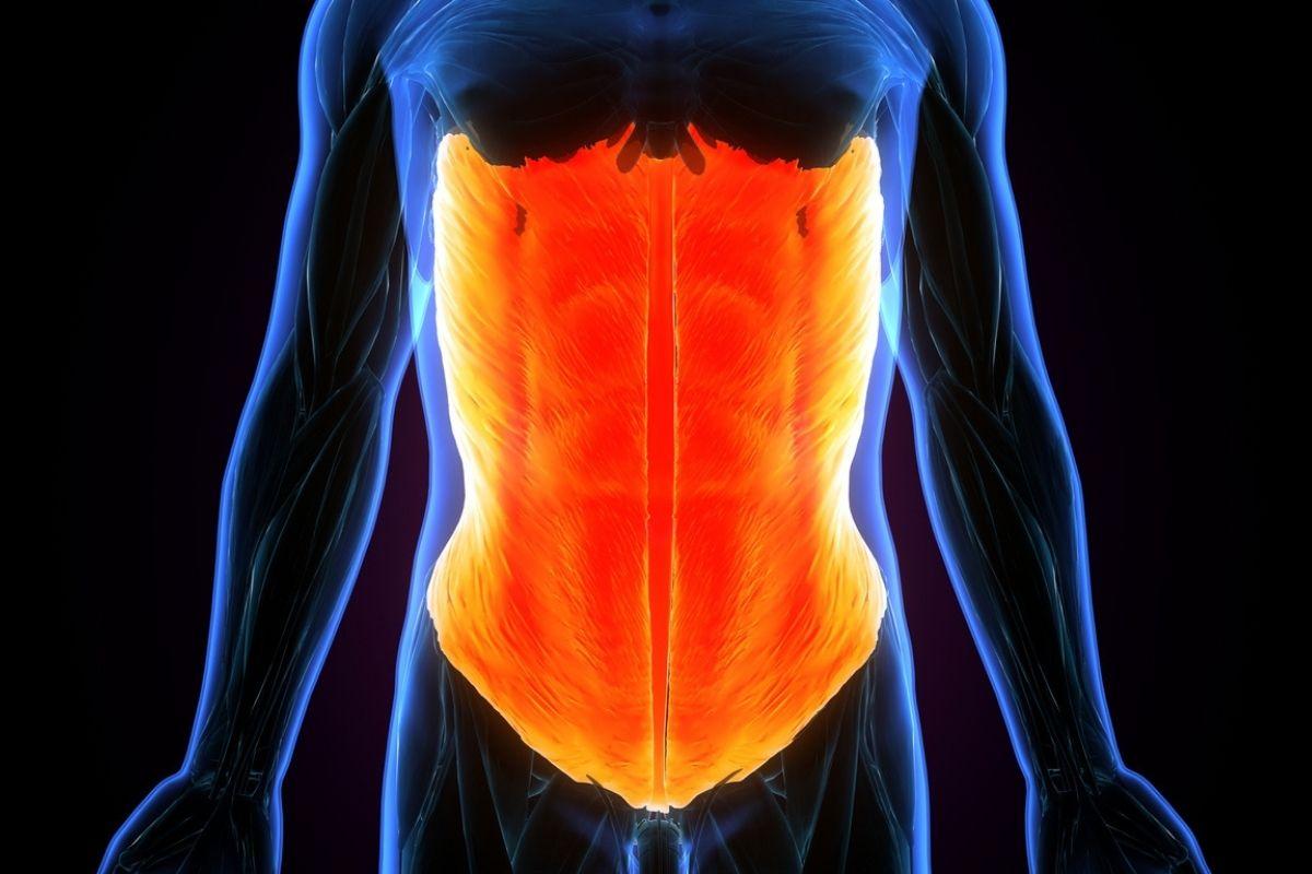 Qué es el core y por qué es importante fortalecerlo