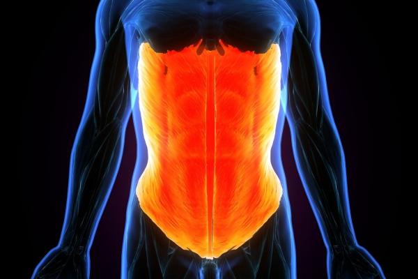 Qué es el core y por qué es importante fortalecerlo