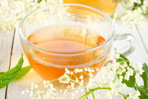 Cómo purificar la sangre - Cómo purificar la sangre con sauco