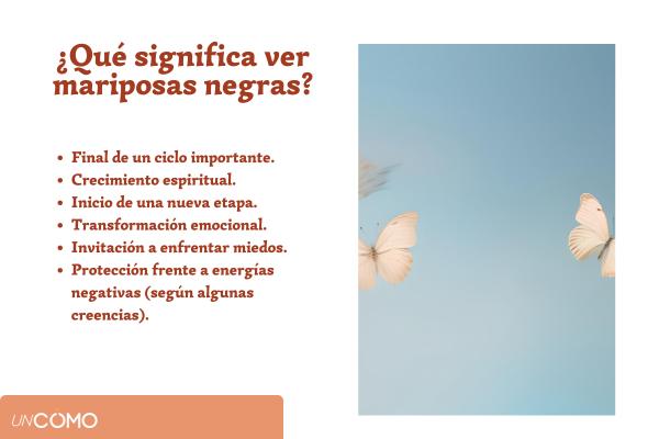 Qué significa ver mariposas negras: interpretación espiritual y simbólica