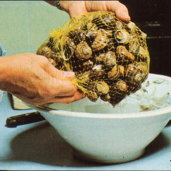 Cómo limpiar y cocinar caracoles - Paso 2