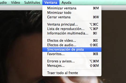 Cómo sincronizar subtítulos - Paso 4