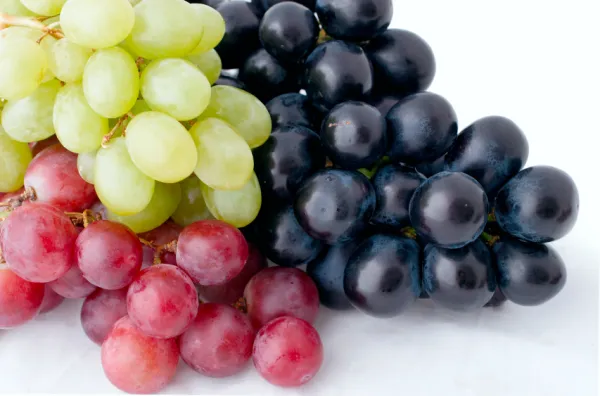 cuanto tarda en morir un perro despues de comer uvas