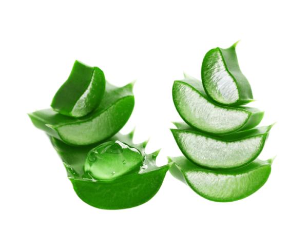 Cómo aliviar el dolor de varices en las piernas - Aplicación de aloe vera o vinagre de manzana
