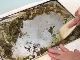 Cómo hacer aceite de aguacate - Paso 5