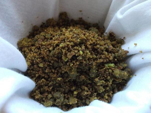 Cómo hacer aceite de aguacate - Paso 6