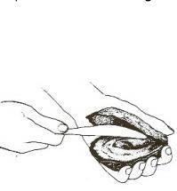 Cómo limpiar las ostras - Paso 6