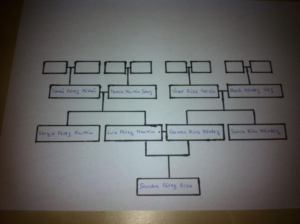 Cómo dibujar un árbol genealógico de tres generaciones