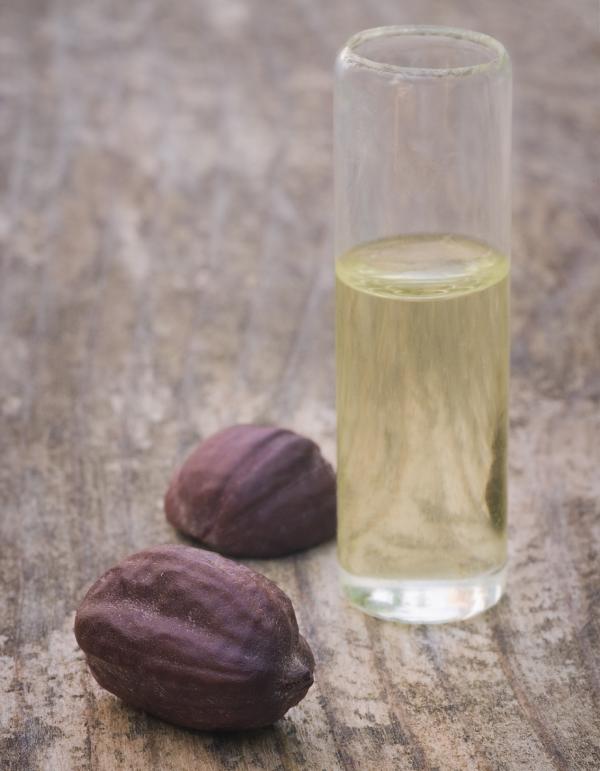 Cómo hacer aceite de jojoba