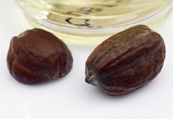 Cómo hacer aceite de jojoba - Paso 1