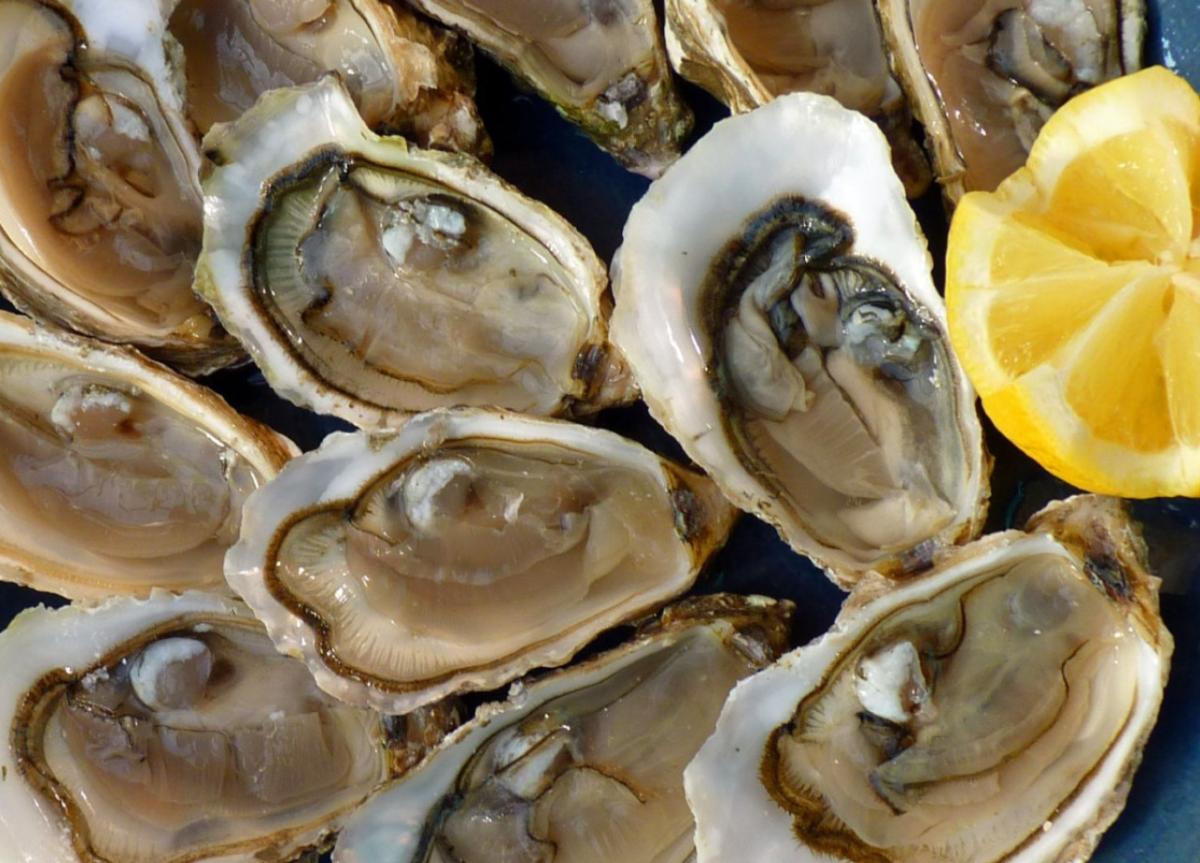 Cómo abrir ostras